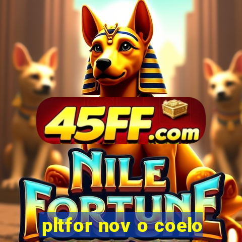 6566